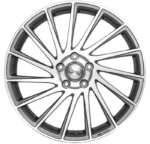 b39 fgvp 1 frontal